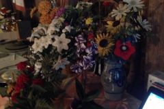 IMG1139