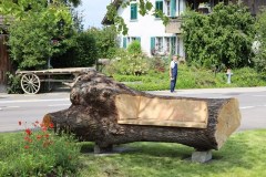 Sommergrill_2021_05