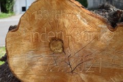 Sommergrill_2021_06