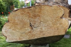Sommergrill_2021_08